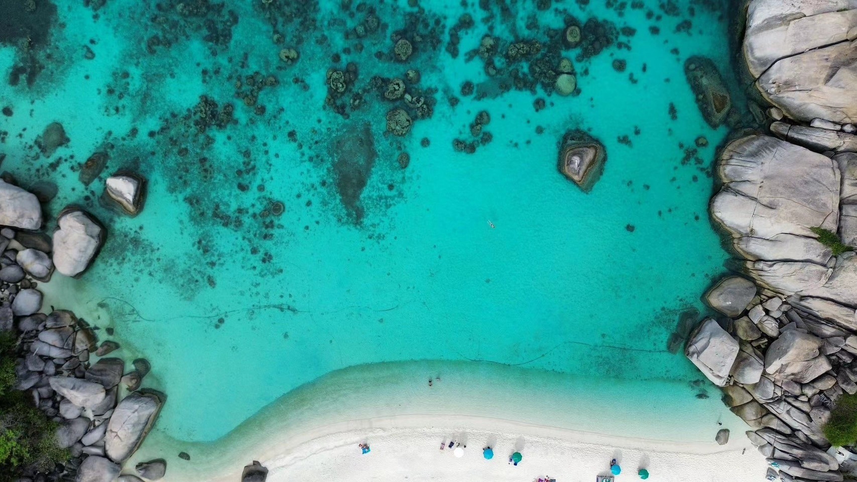 Japanese Gardens from above