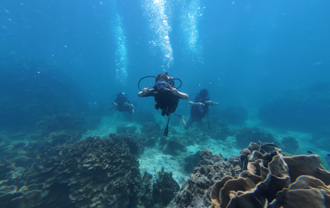 Scuba diving at Koh Nangyuan