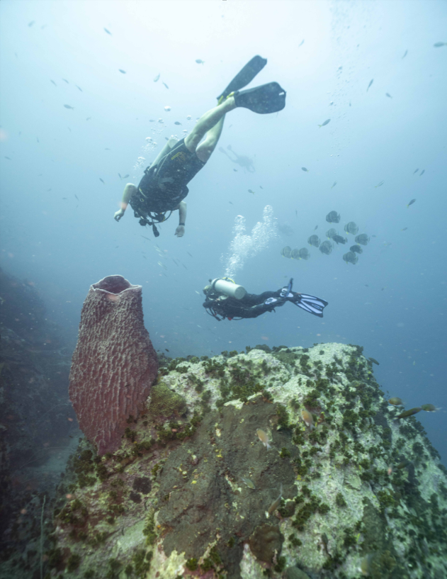 Divers over a Barrel Sponge