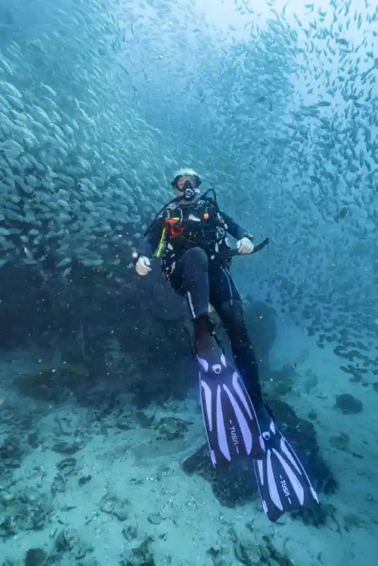 Diver and Fish
